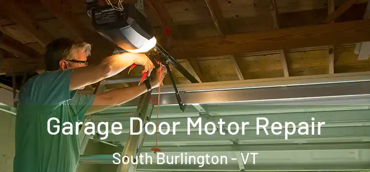  Garage Door Motor Repair South Burlington - VT