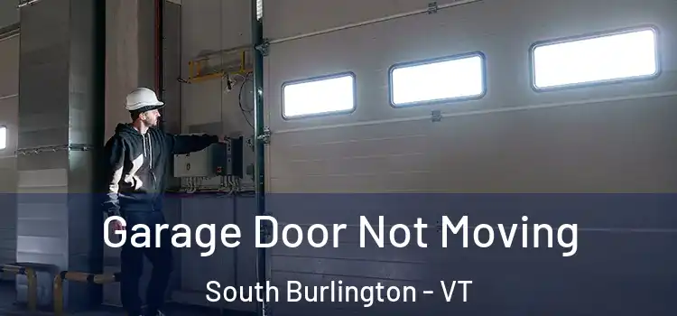  Garage Door Not Moving South Burlington - VT