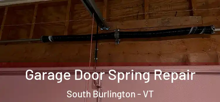  Garage Door Spring Repair South Burlington - VT