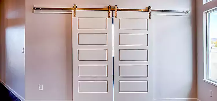 Glass Barn Door with Installation Hardware Kit South Burlington