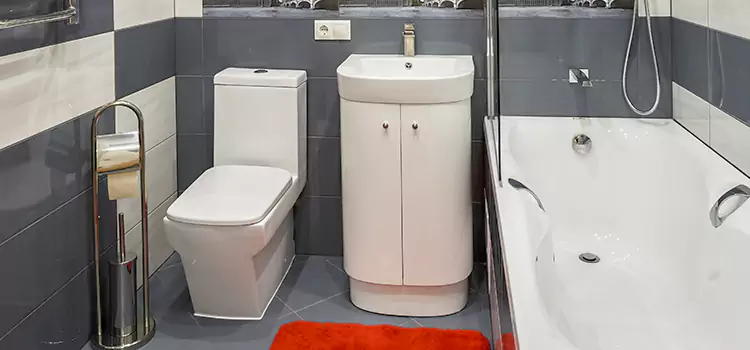 Hansgrohe Shaving Mirror South Burlington