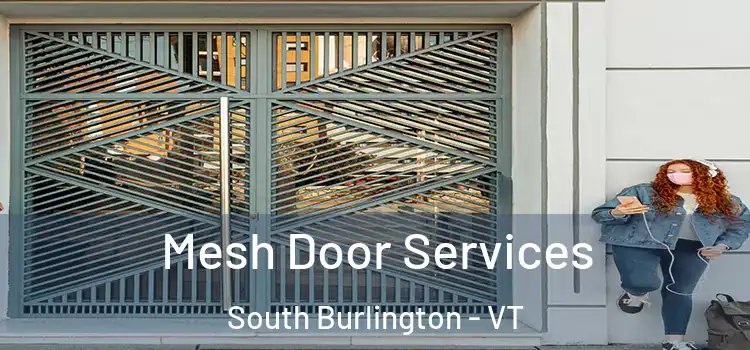  Mesh Door Services South Burlington - VT